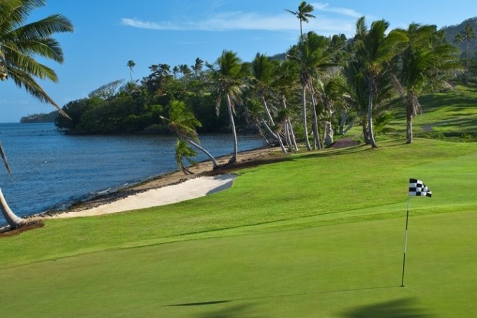 a group of palm trees next to a body of water