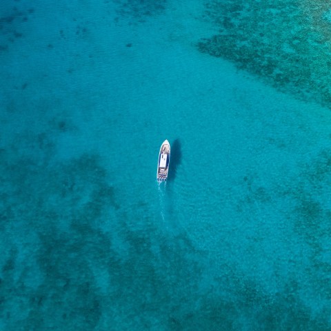 a fish swimming under water