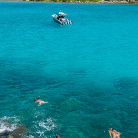 a group of people swimming in a body of water