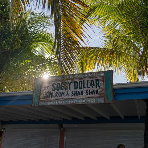 a sign in front of a palm tree