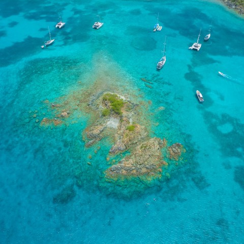 a group of people swimming in a body of water